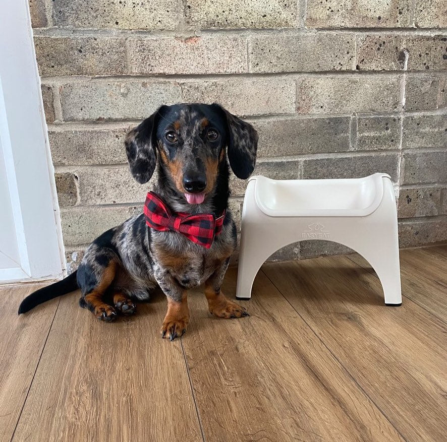 We have already seen the difference and will not stop until we can give