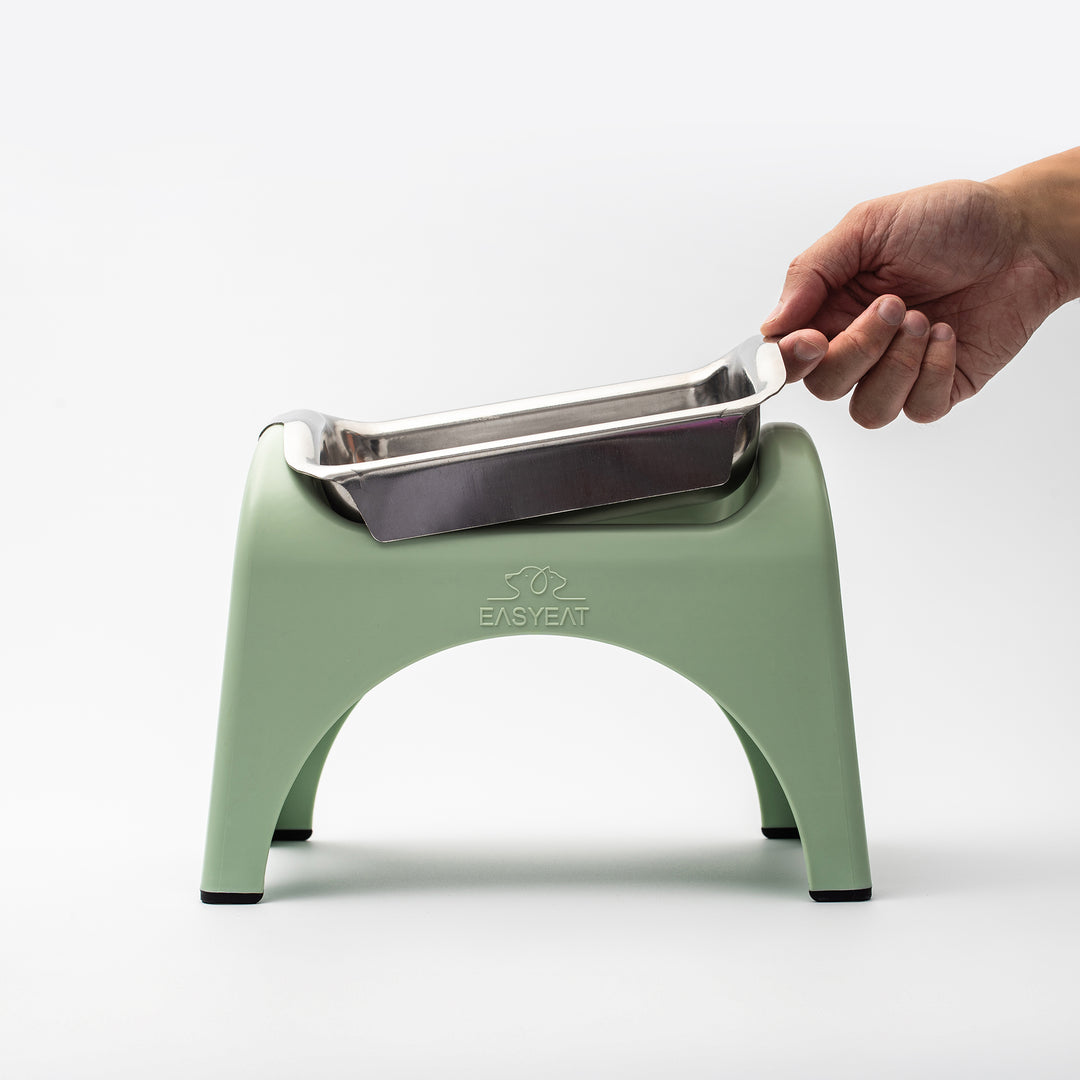 EasyEat Water Set - Sage Green