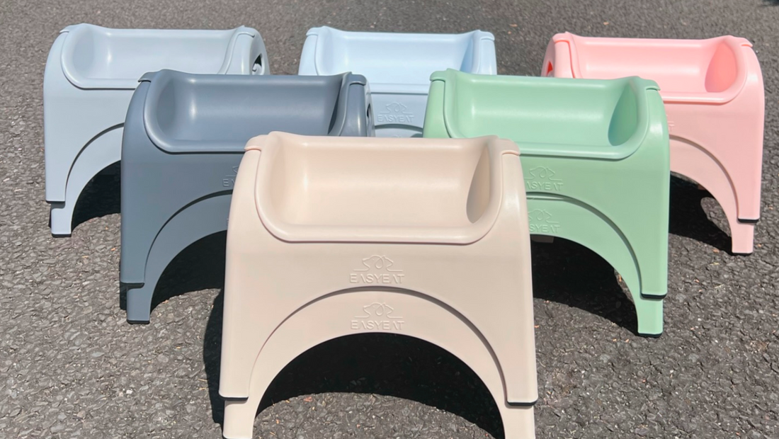 EasyEat Raised Dog Bowls
